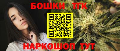 хмурый Шелехов