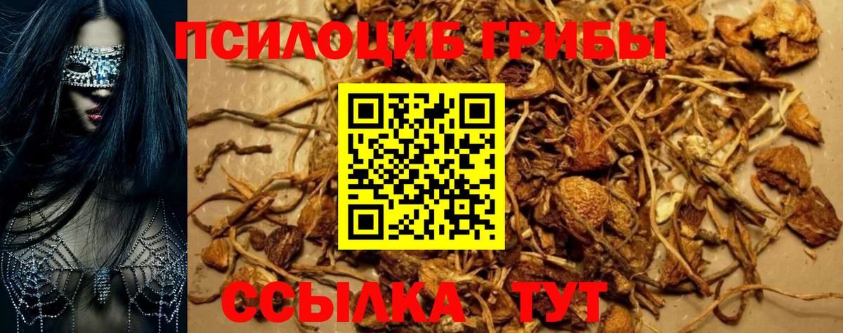 Галлюциногенные грибы прущие грибы Рассказово