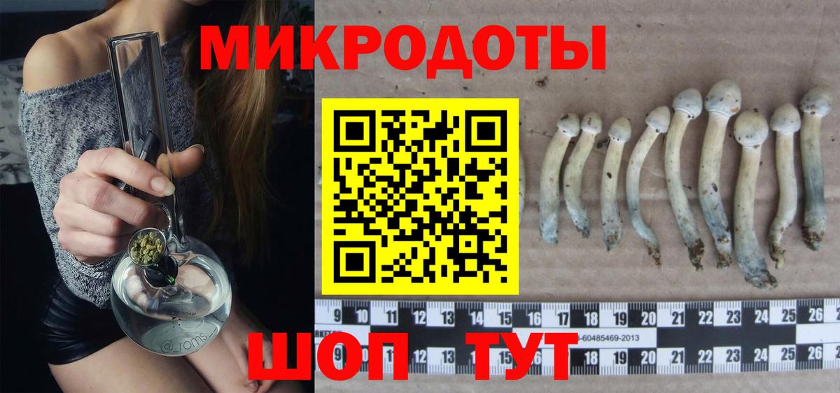 ГАШ Рассказово