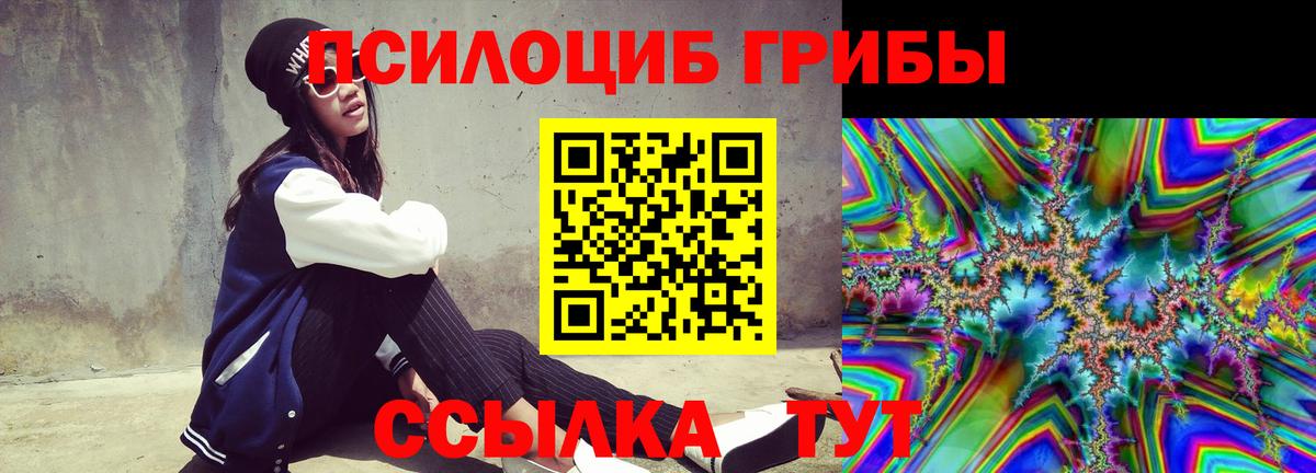 Галлюциногенные грибы мицелий  Вход с VPN  Рассказово 